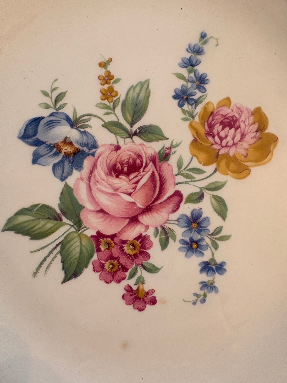Scio Hazel Pattern 1940s Plates & Bowl Set