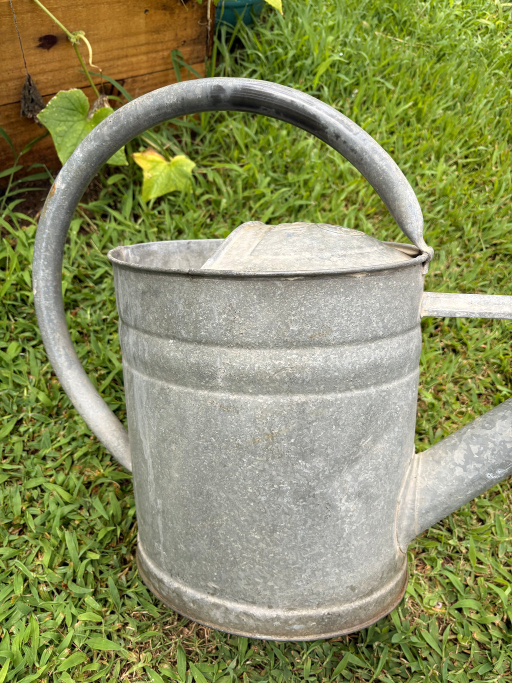 Vintage German Bat Galvanized Watering Can — 13 Liter