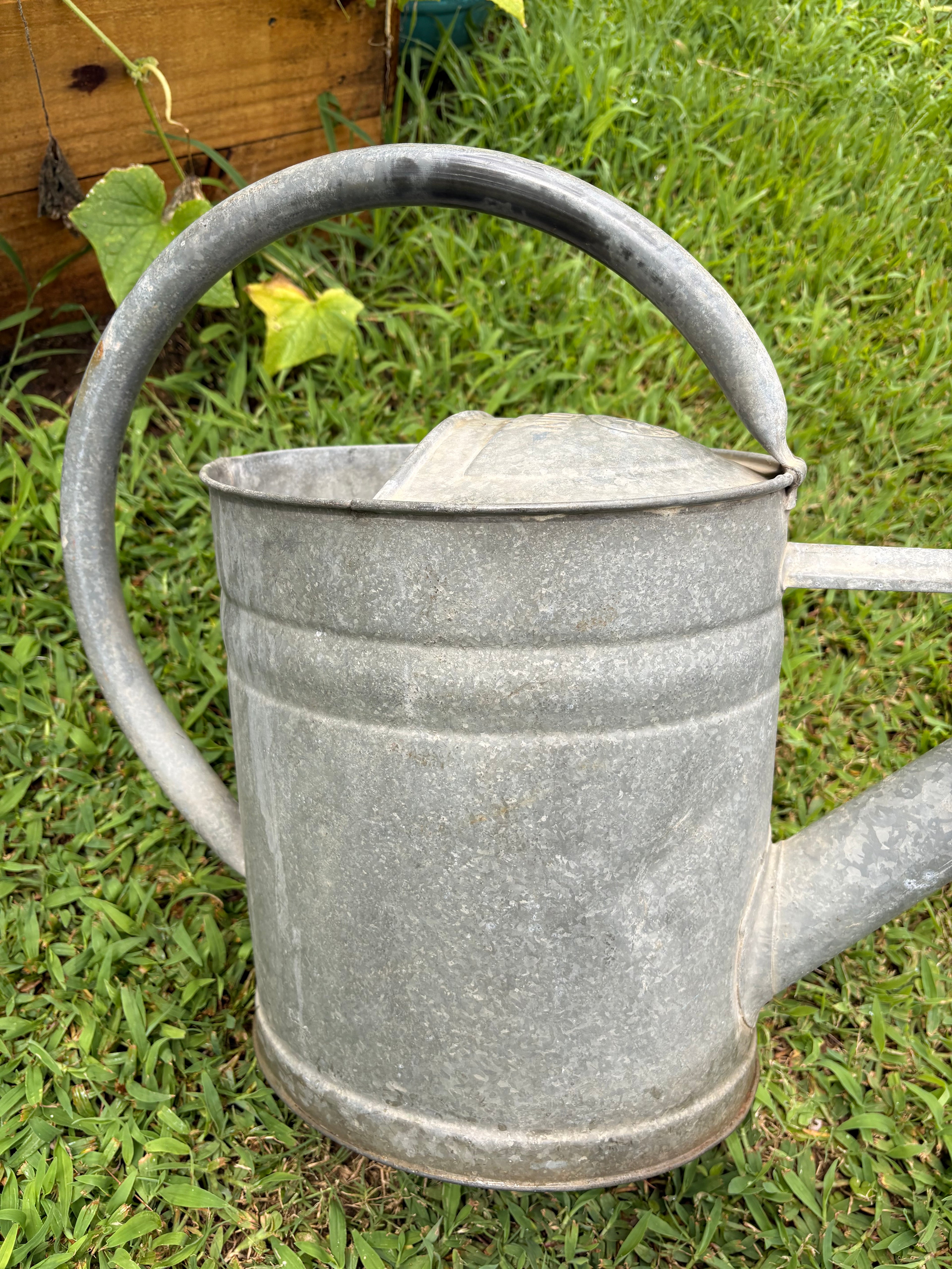 Vintage German Bat Galvanized Watering Can — 13 Liter