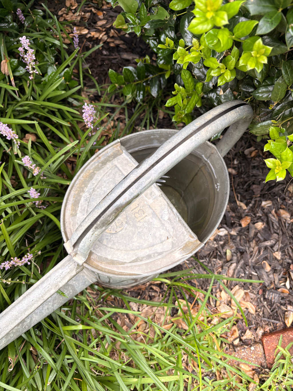 Vintage German Bat Galvanized Watering Can — 13 Liter