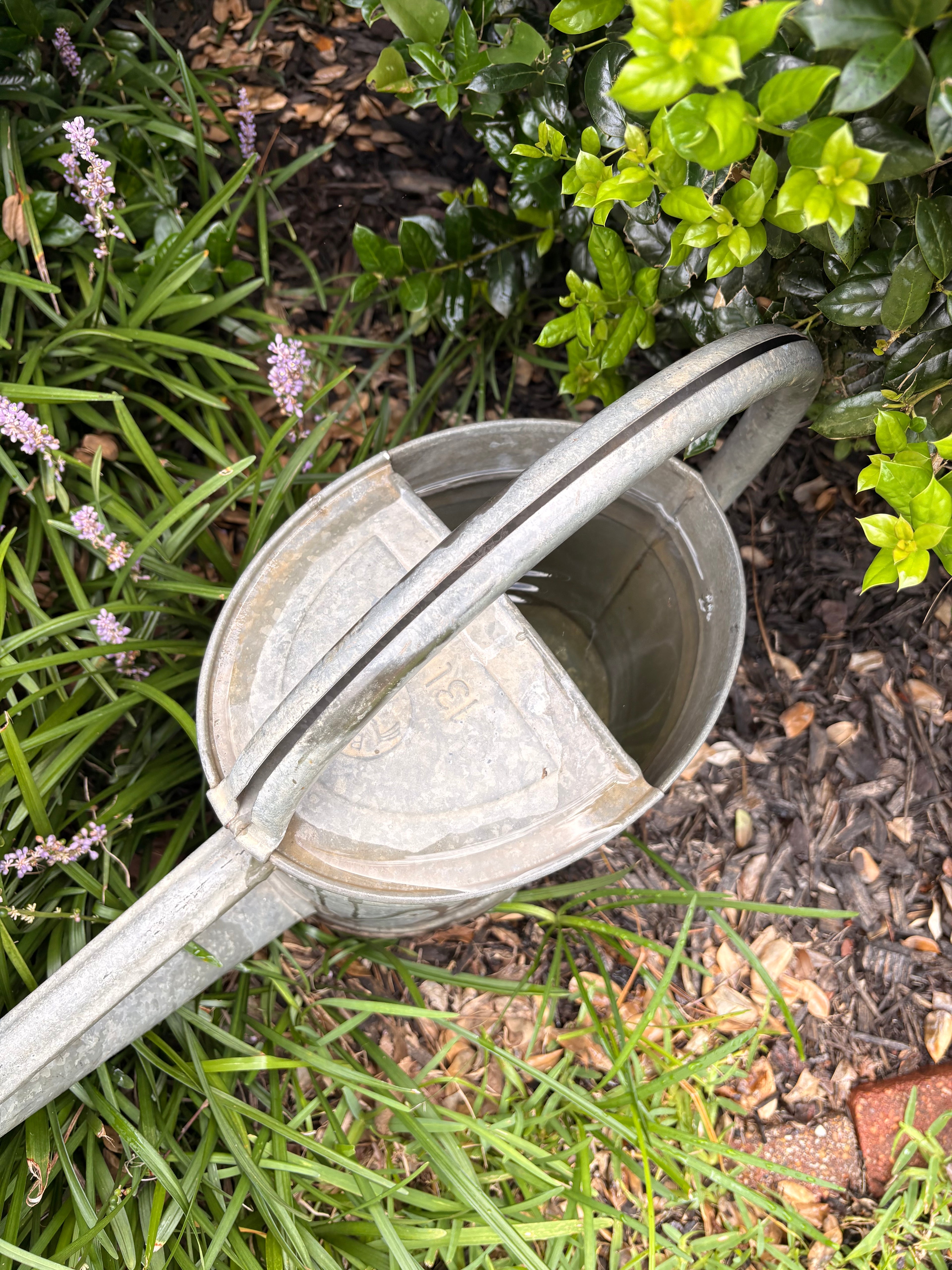 Vintage German Bat Galvanized Watering Can — 13 Liter