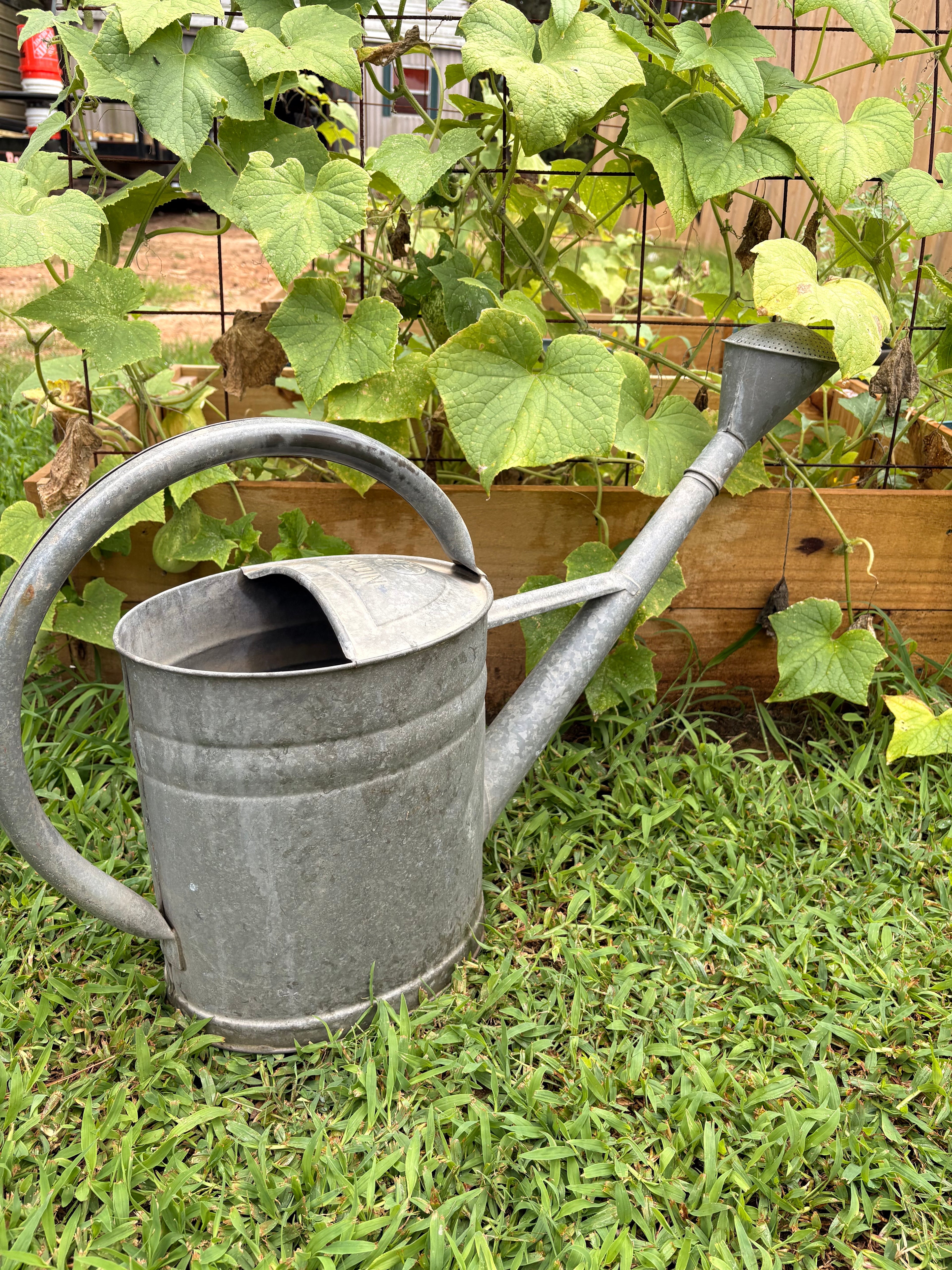 Vintage German Bat Galvanized Watering Can — 13 Liter
