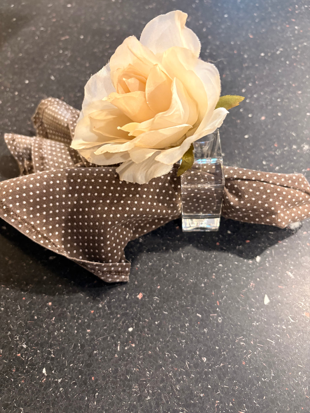 Lillian Vernon Clear Lucite Napkin Rings