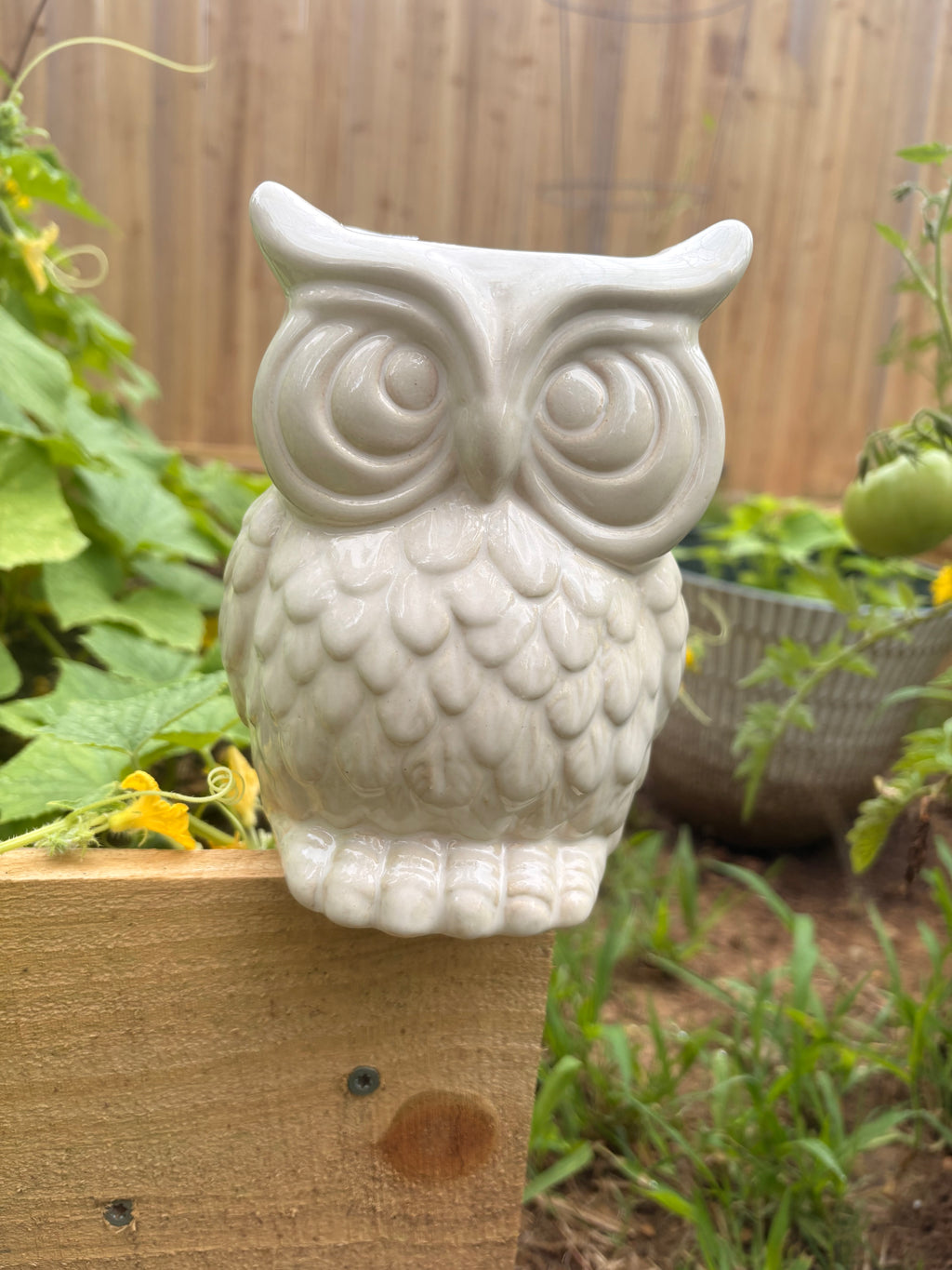 White Owl Vase