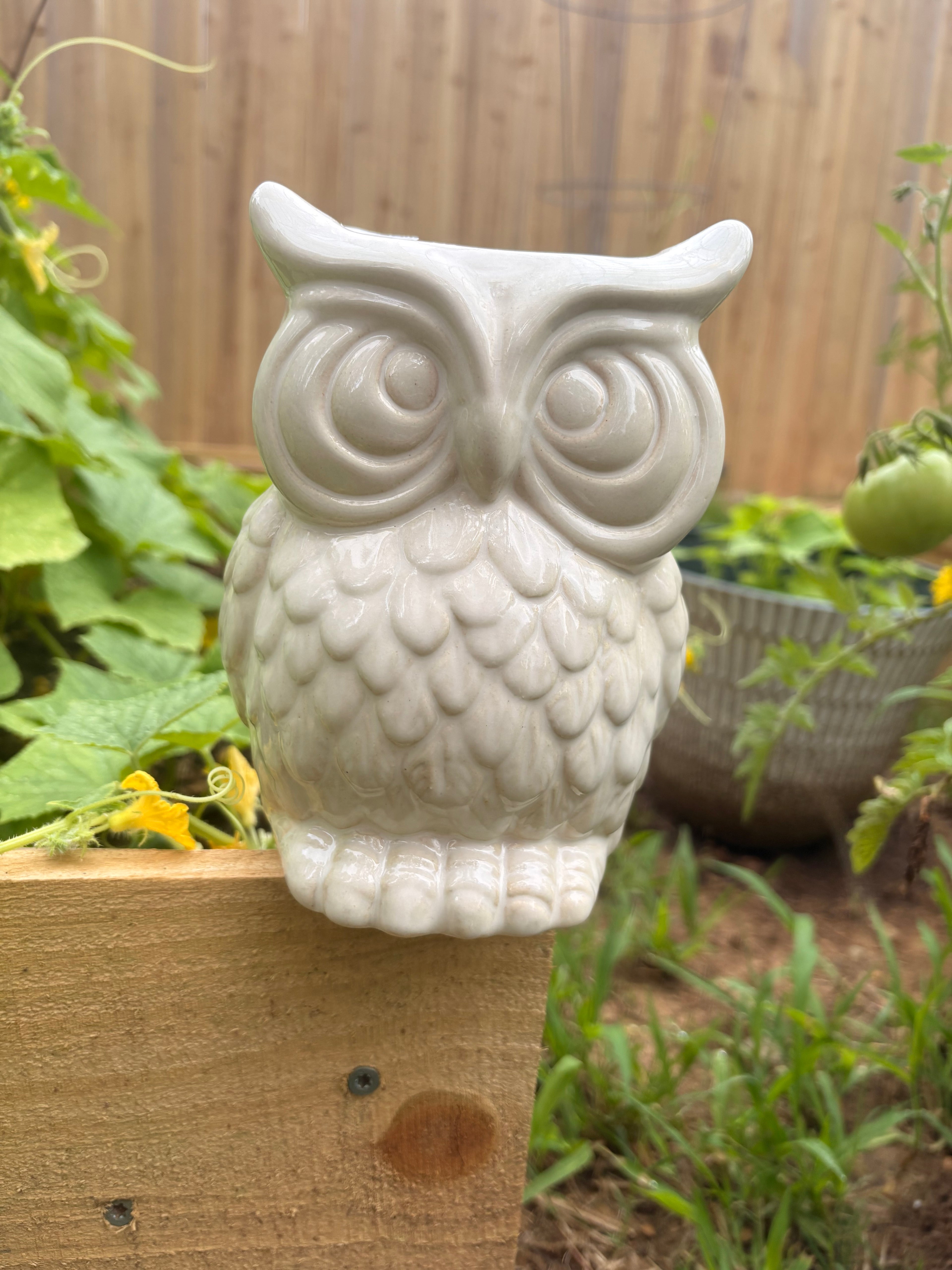 White Owl Vase