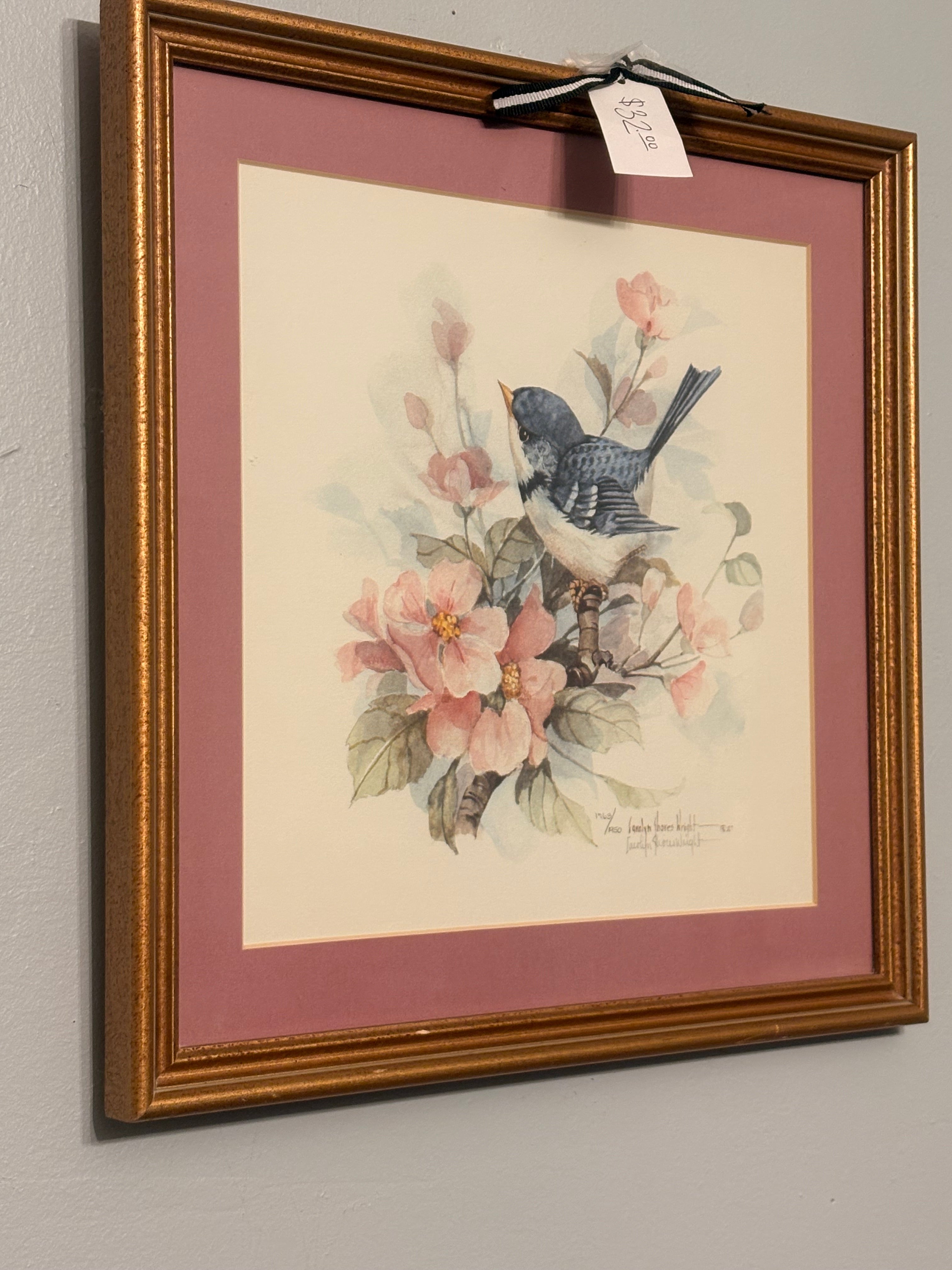 Bird Picture by Carolyn Shores Wright
