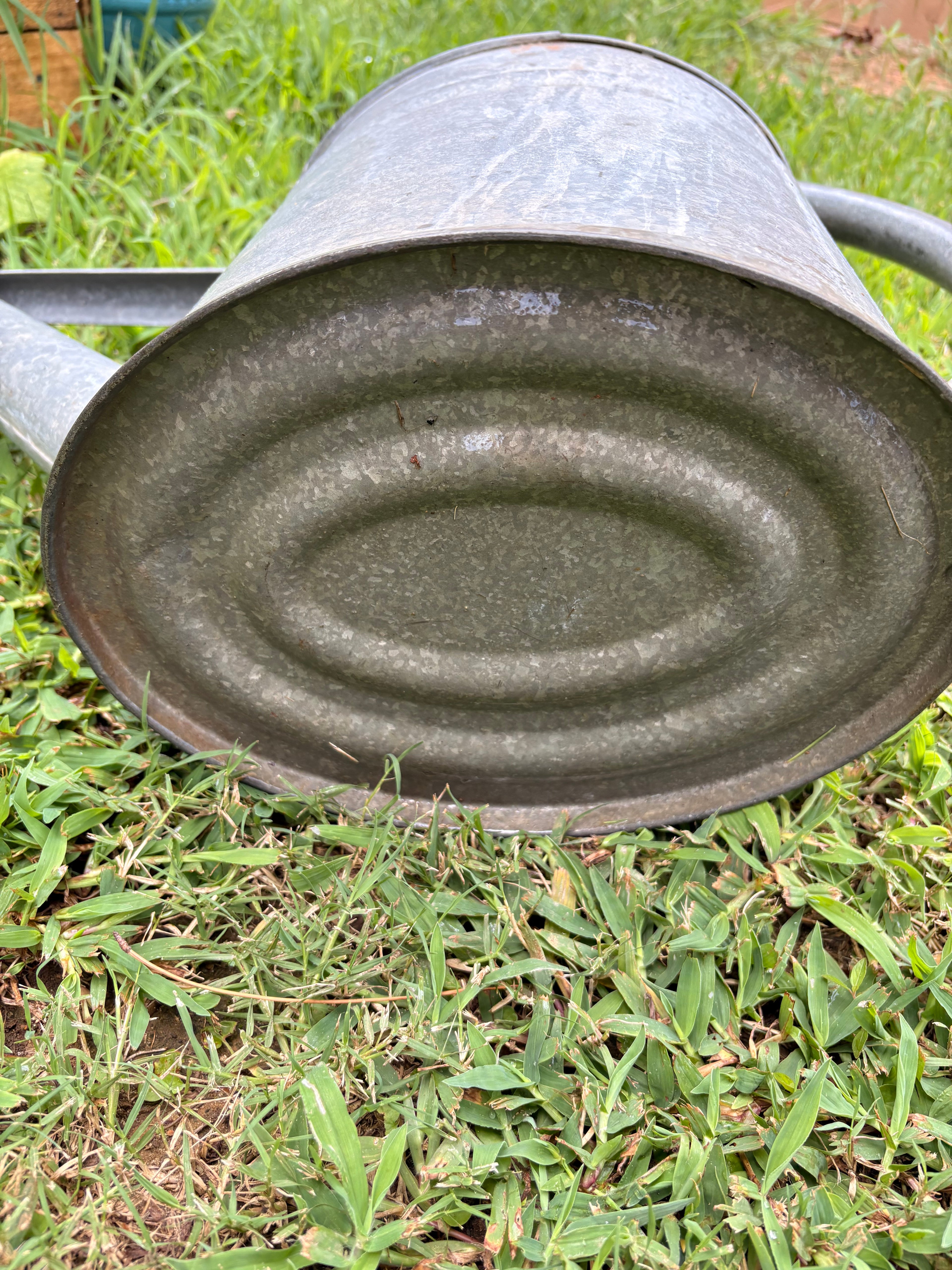 Vintage German Bat Galvanized Watering Can — 13 Liter