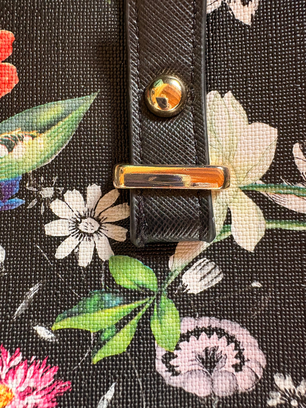 Elim and Paul Black & Floral Print Purse