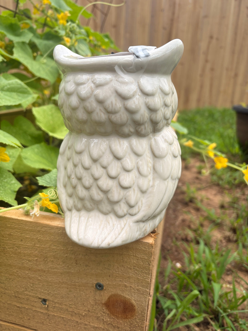 White Owl Vase