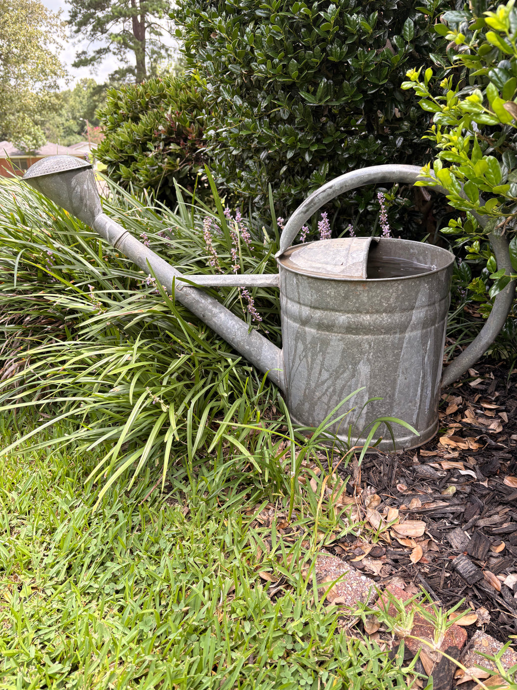Vintage German Bat Galvanized Watering Can — 13 Liter