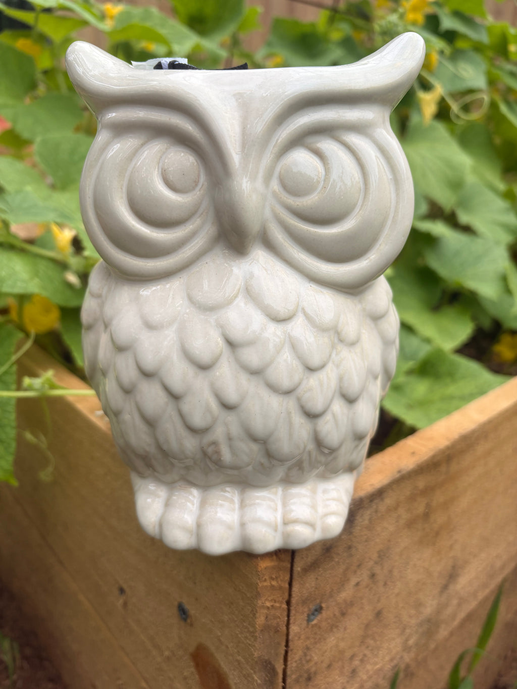 White Owl Vase