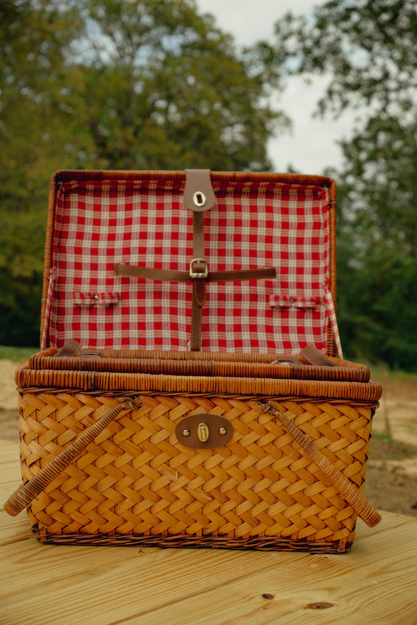 Picnic Basket