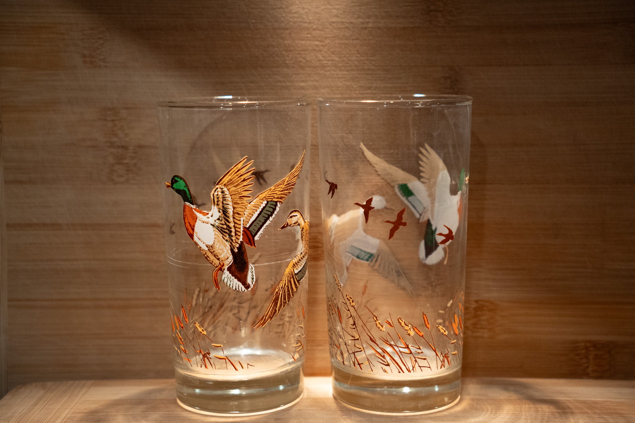 Mallard Duck Glasses