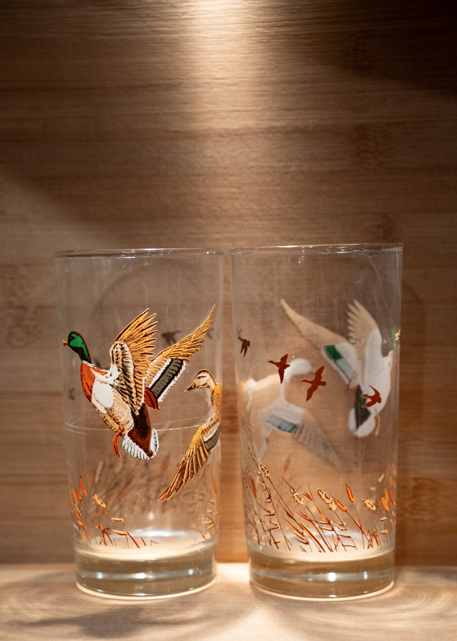 Mallard Duck Glasses