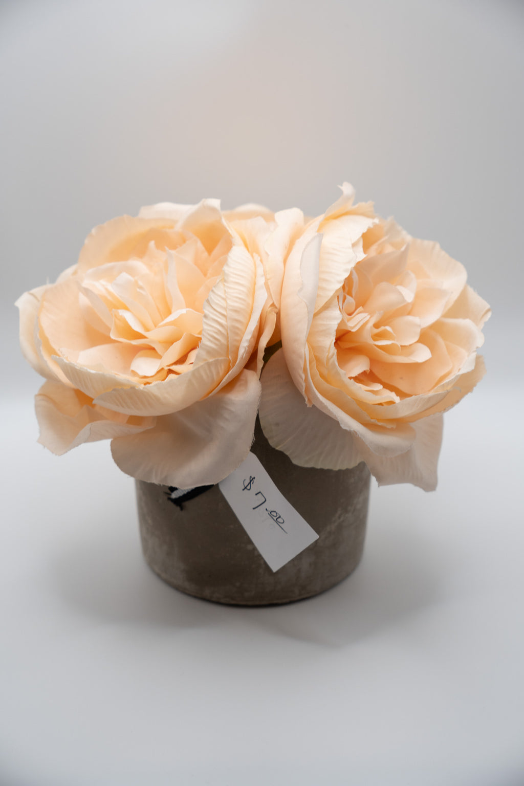 Peach Roses