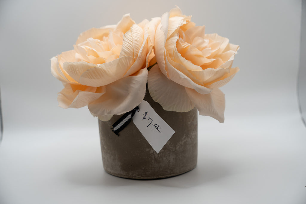Peach Roses