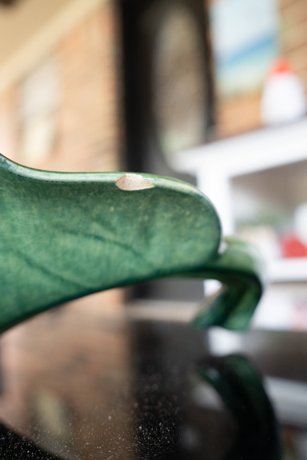 Green Leaf Dish
