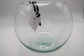 Glass Bubble Bowl