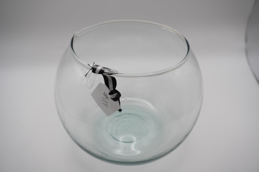 Glass Bubble Bowl