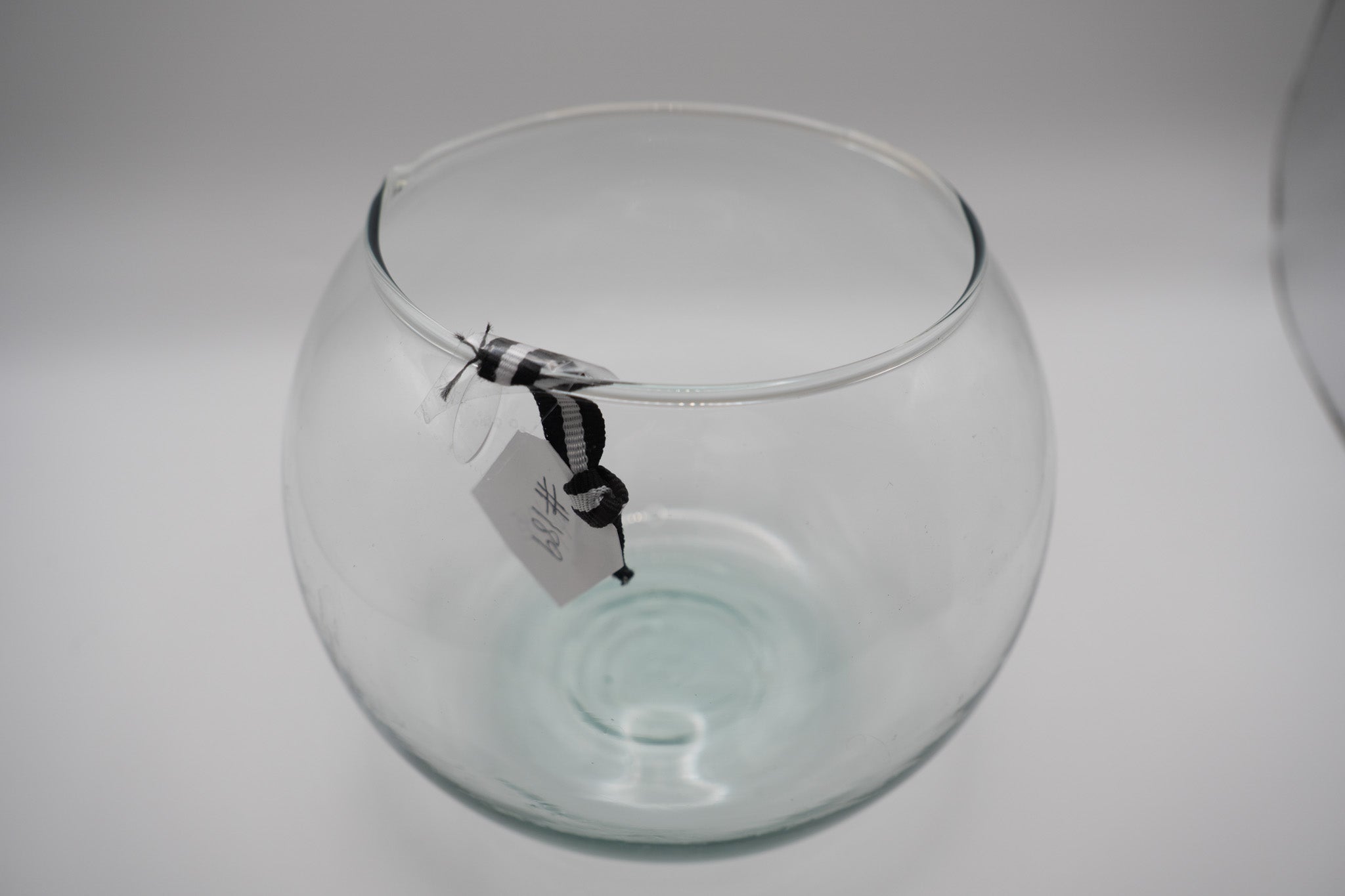 Glass Bubble Bowl
