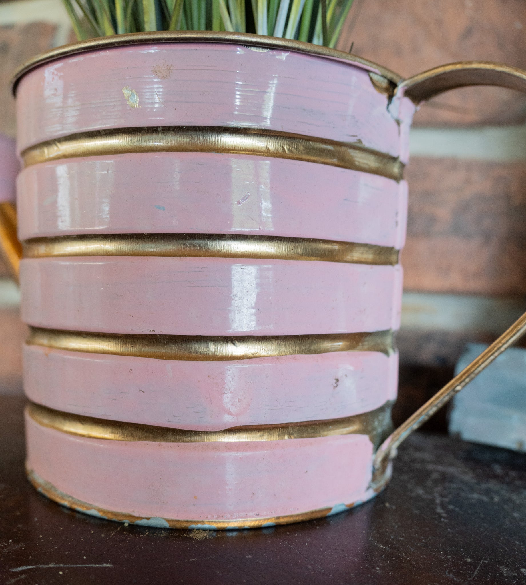 Vintage Watering Can Decor Plant Holder