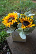 Sunflower Arrangement in White Wooden Box
