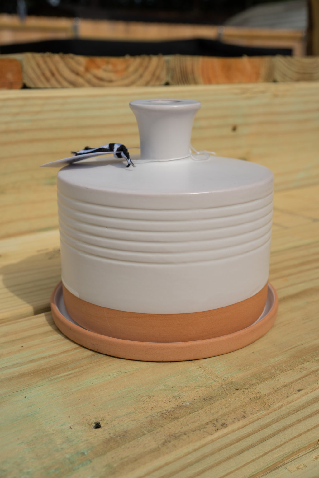 "Terrain" Ceramic Watering Bell