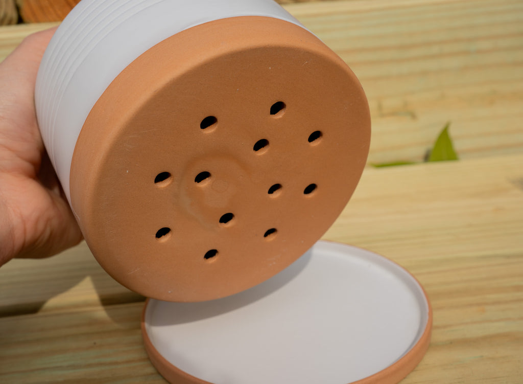 "Terrain" Ceramic Watering Bell