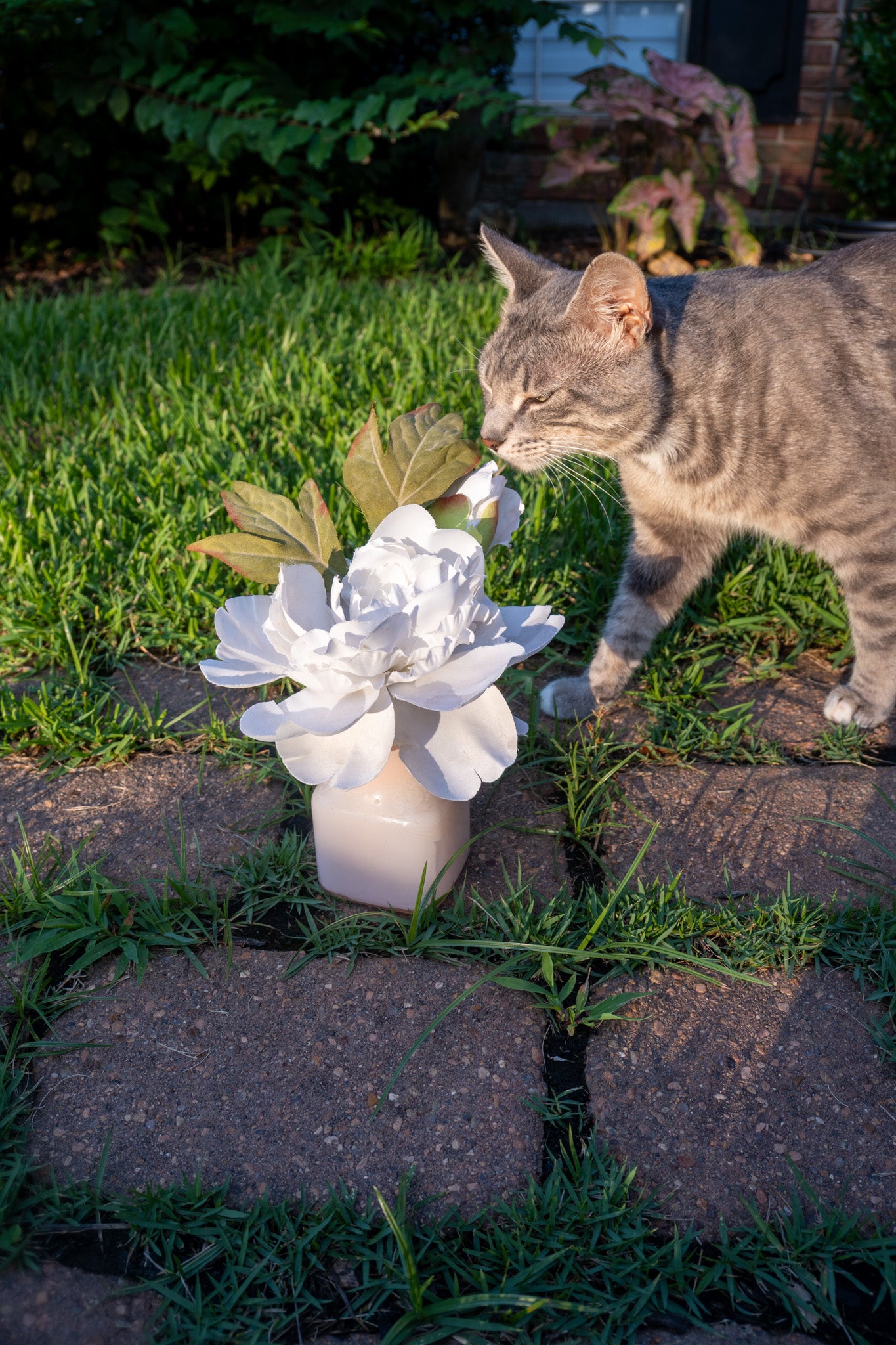 White Small Rose Arrangement