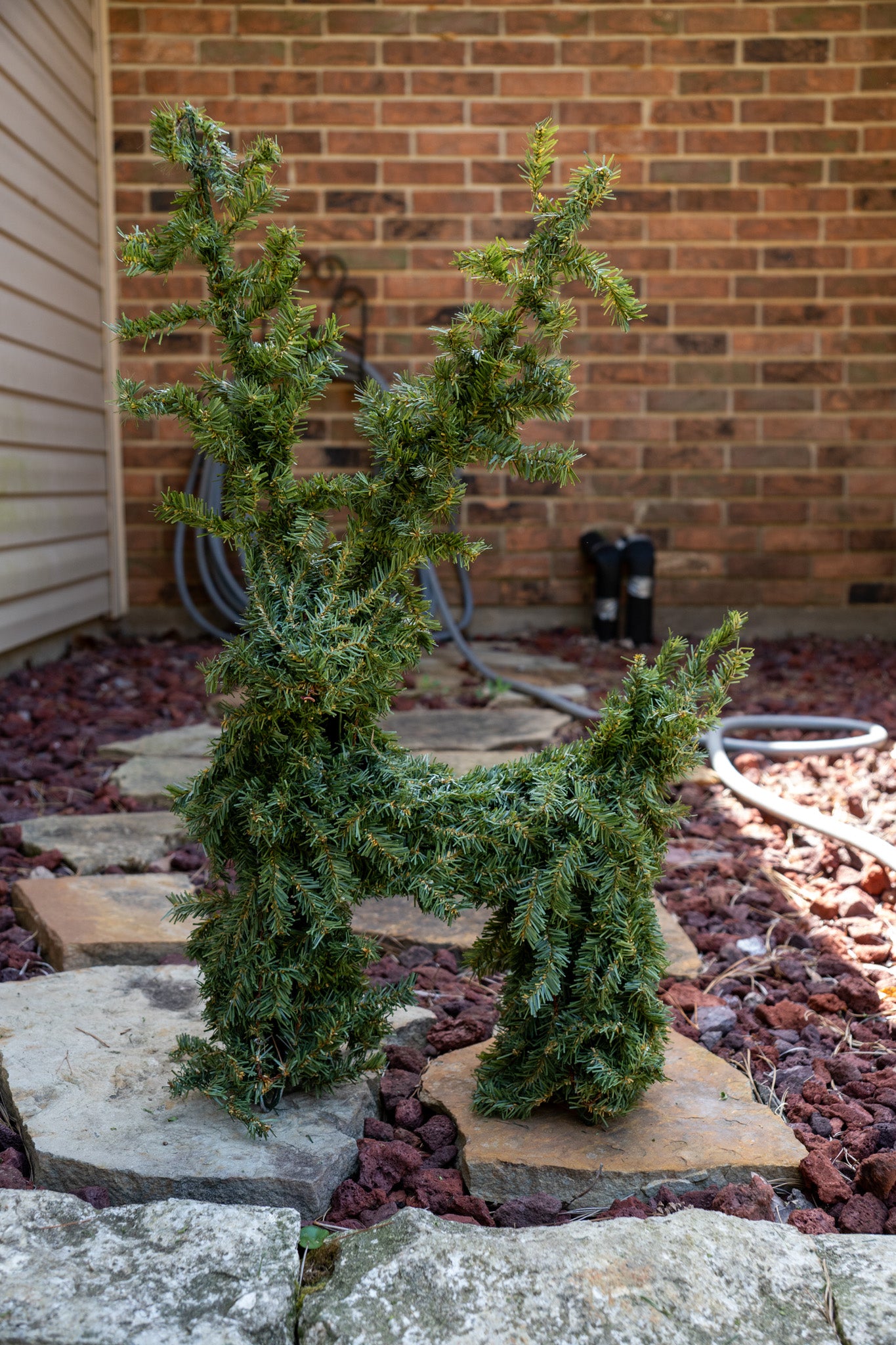 Reindeer Topiary