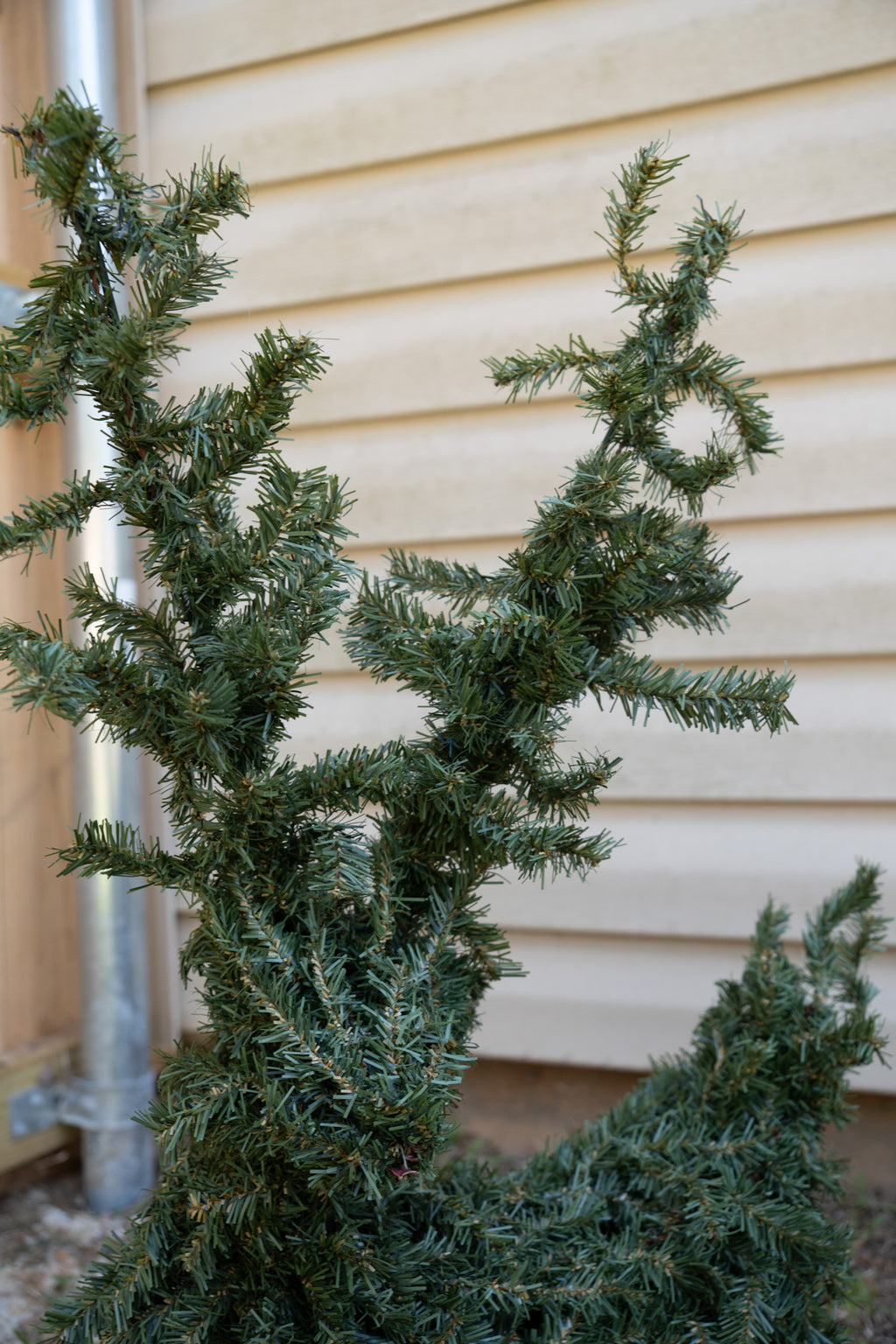Reindeer Topiary