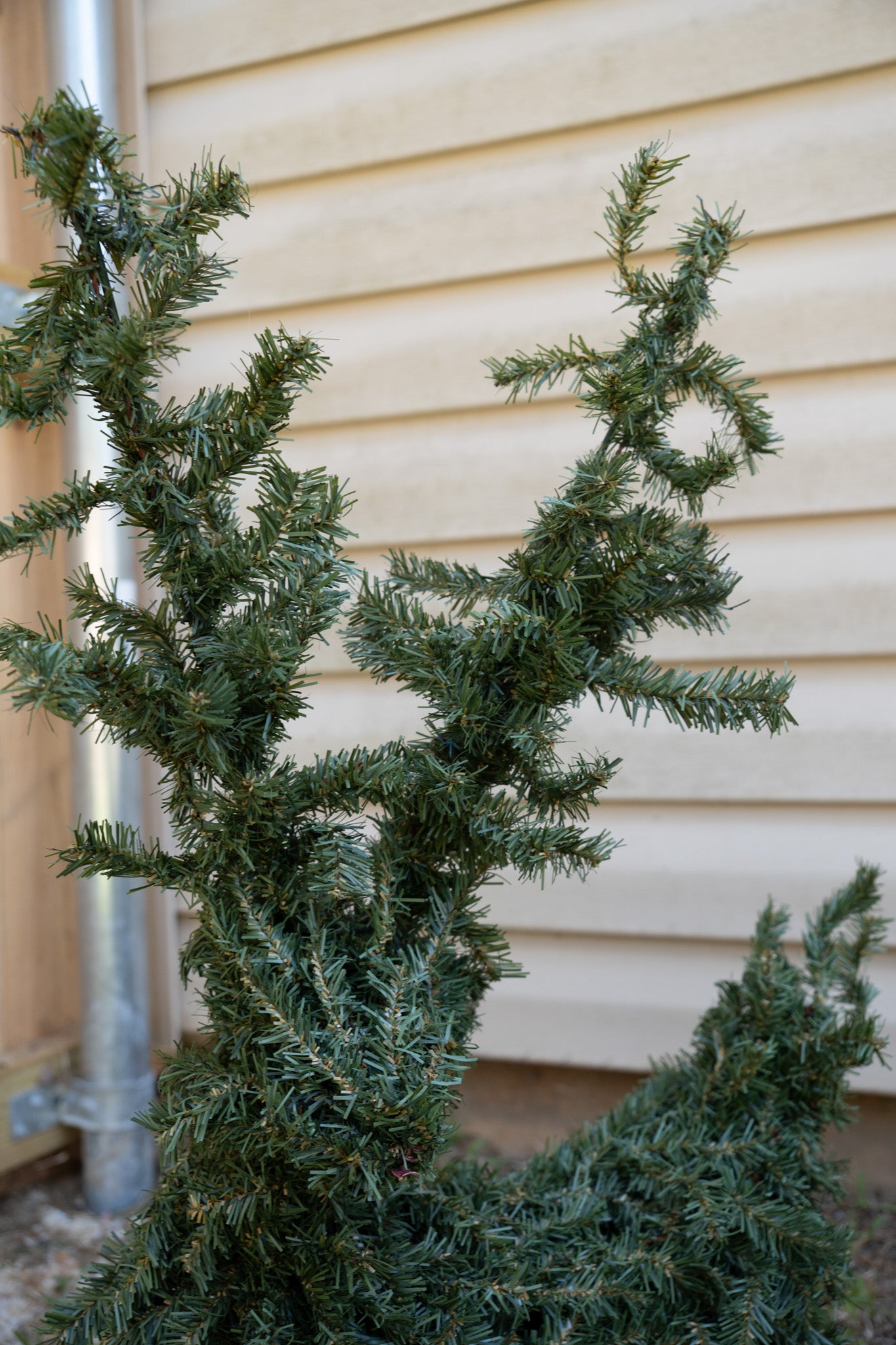 Reindeer Topiary