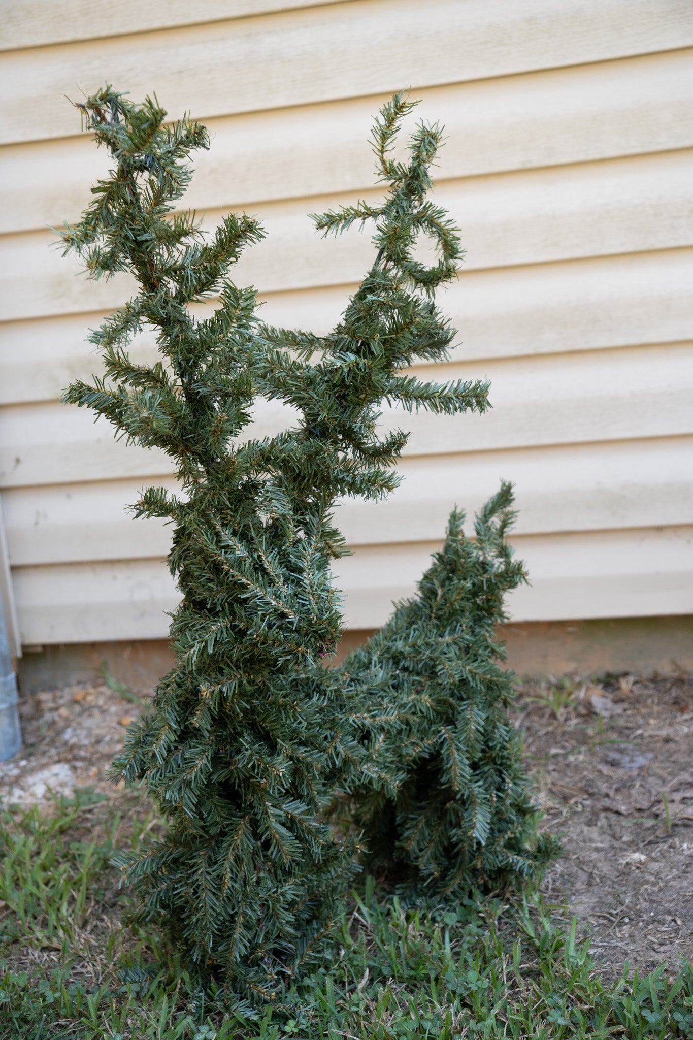 Reindeer Topiary