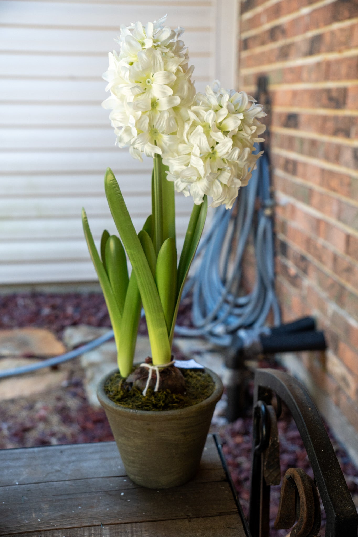 Faux Potted Hyacinth Floral