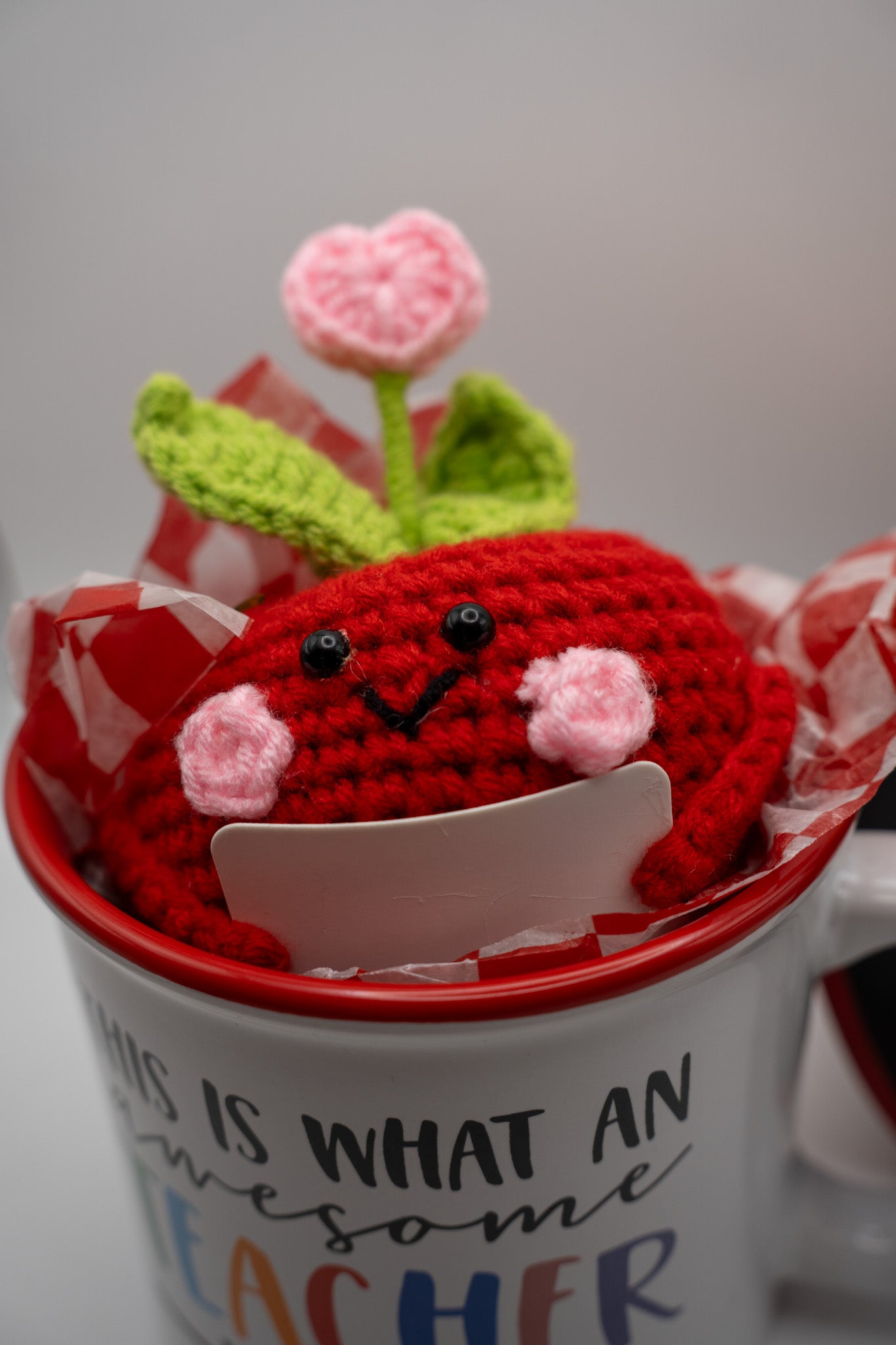 Teacher's Gift Set