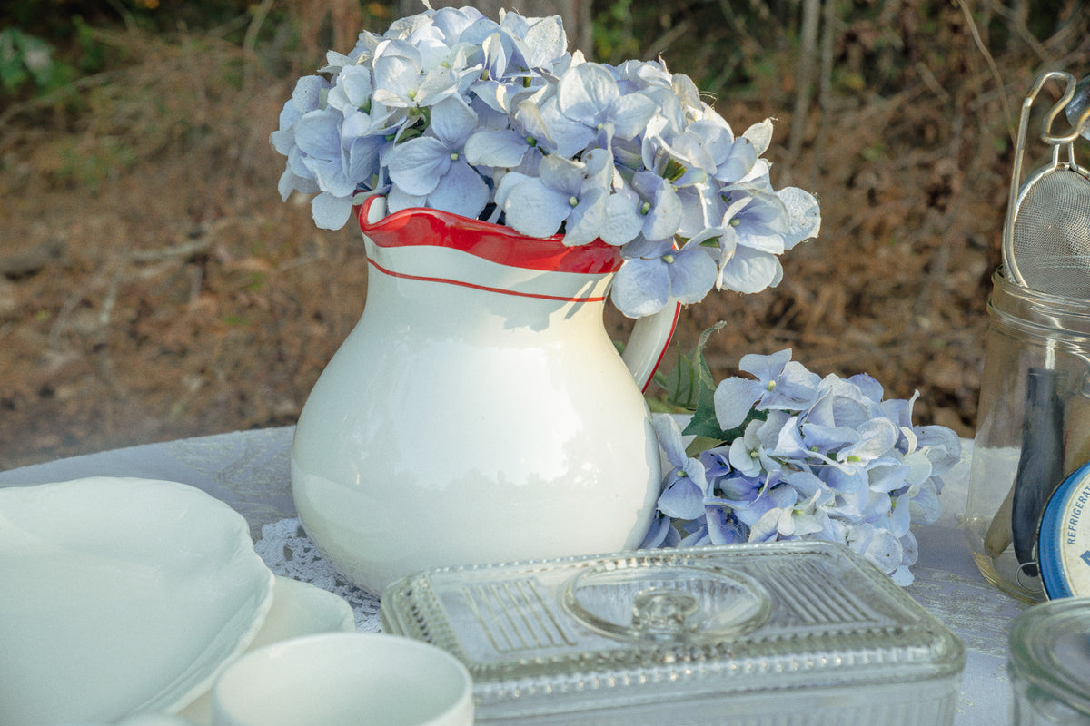 White and Red Pitcher by Home
