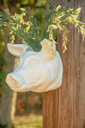Pig Head Wall Planter