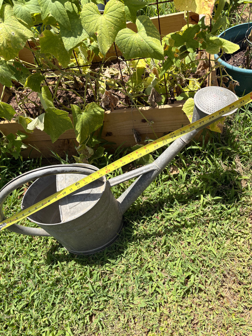Vintage German Bat Galvanized Watering Can — 13 Liter