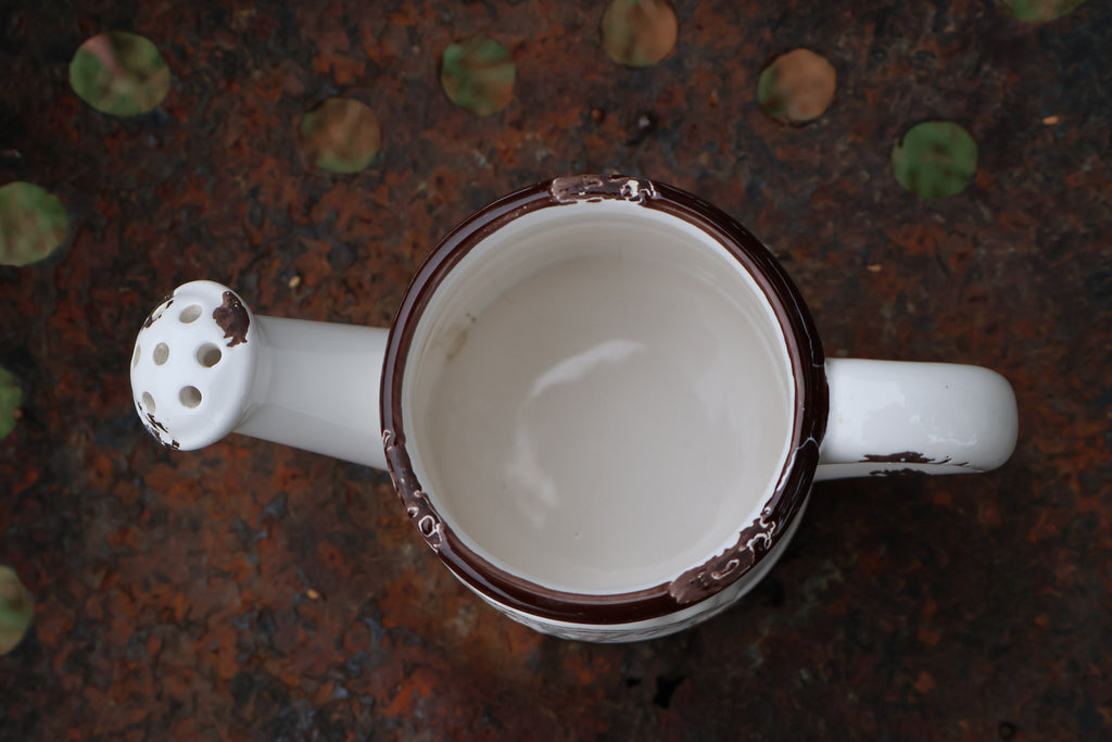 Farmhouse Ceramic Watering Pitcher / Planter