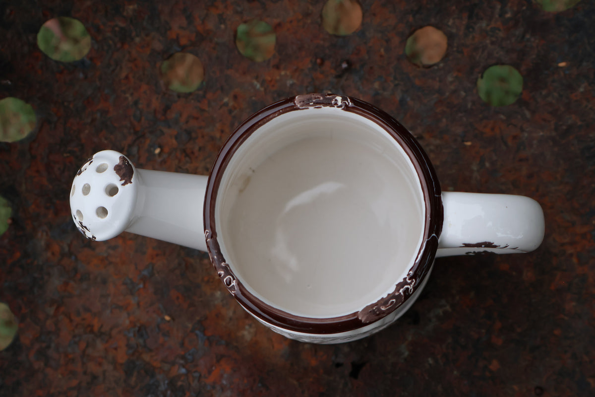 Farmhouse Ceramic Watering Pitcher / Planter