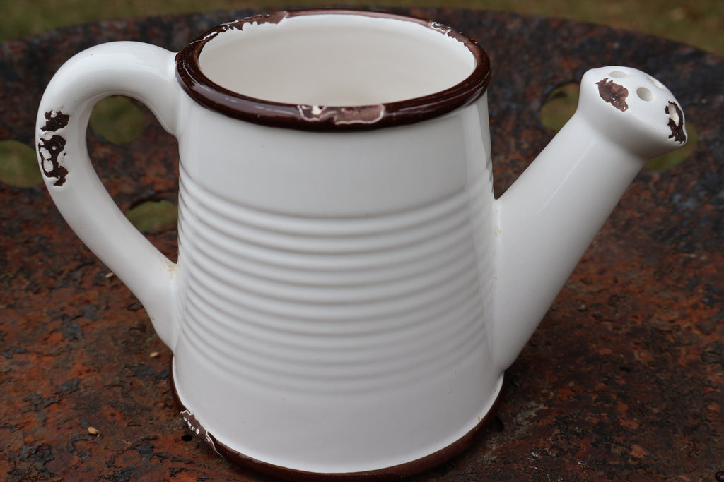 Farmhouse Ceramic Watering Pitcher / Planter