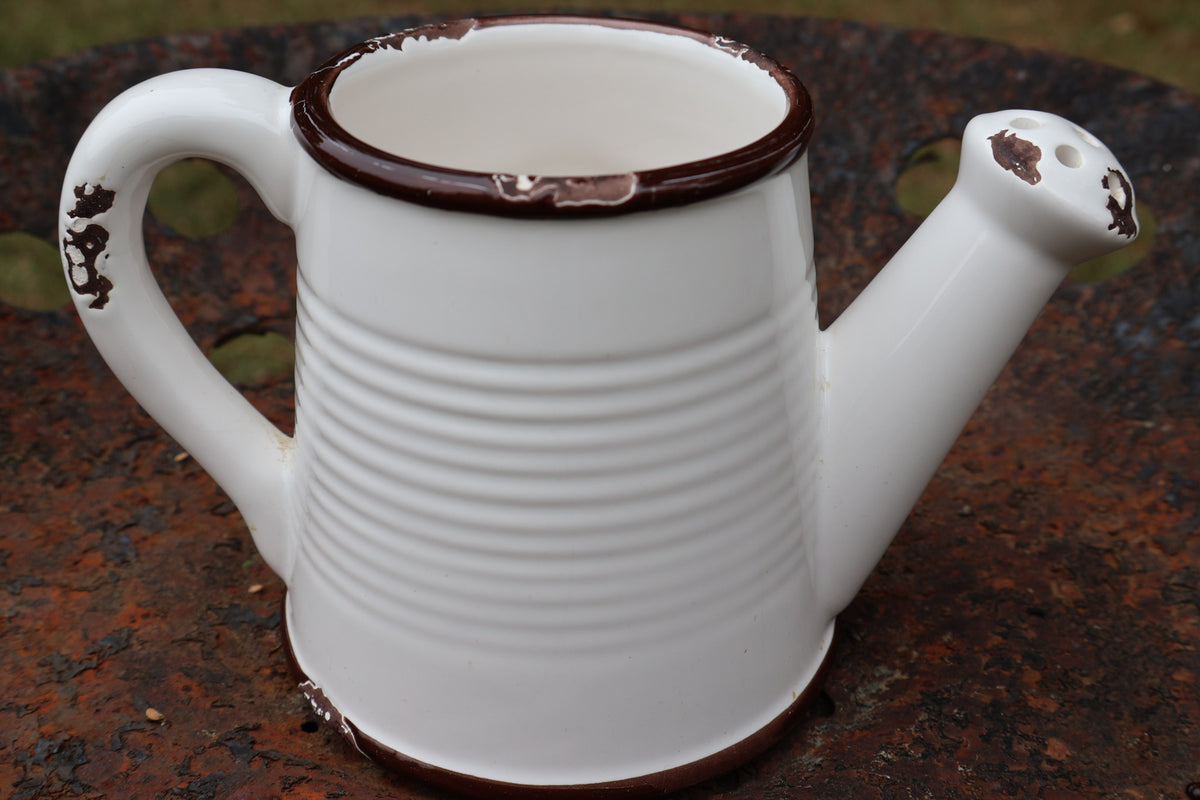 Farmhouse Ceramic Watering Pitcher / Planter