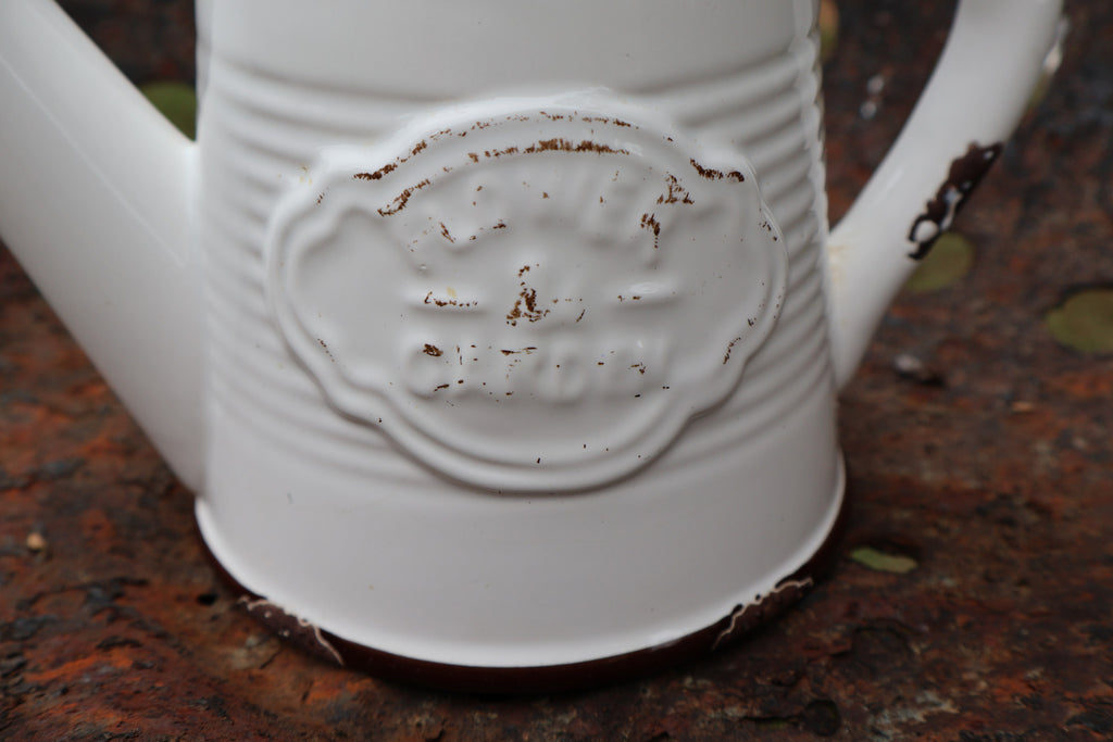 Farmhouse Ceramic Watering Pitcher / Planter