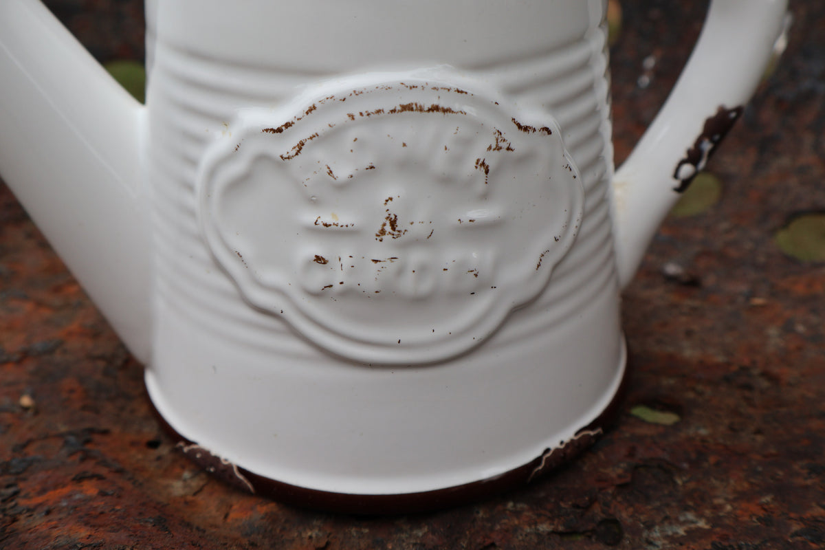 Farmhouse Ceramic Watering Pitcher / Planter