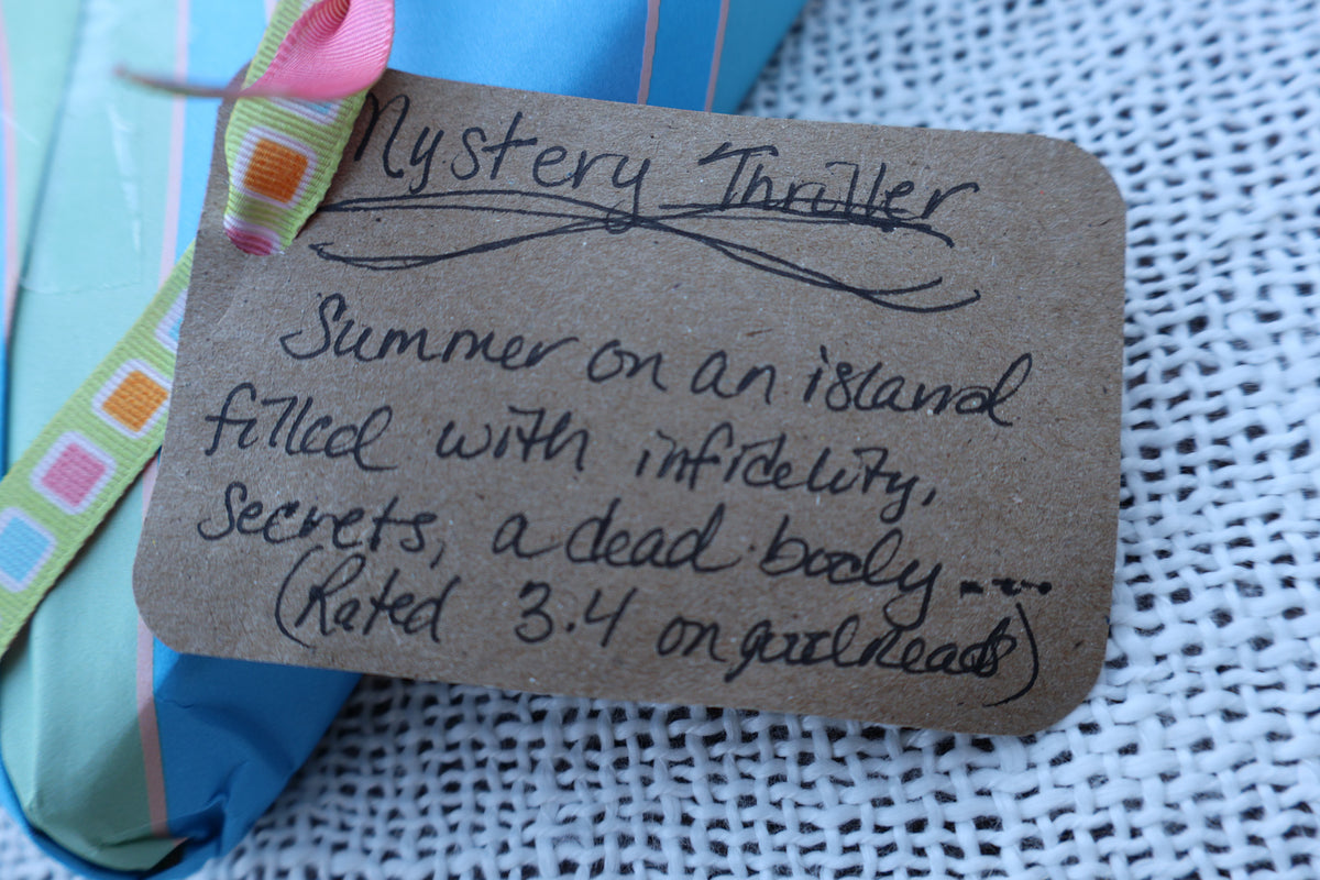 Blind Date with a Book – Beach-Themed Mystery Thriller Bundle