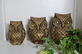 Vintage Brass Owl Family – 3-Piece Set