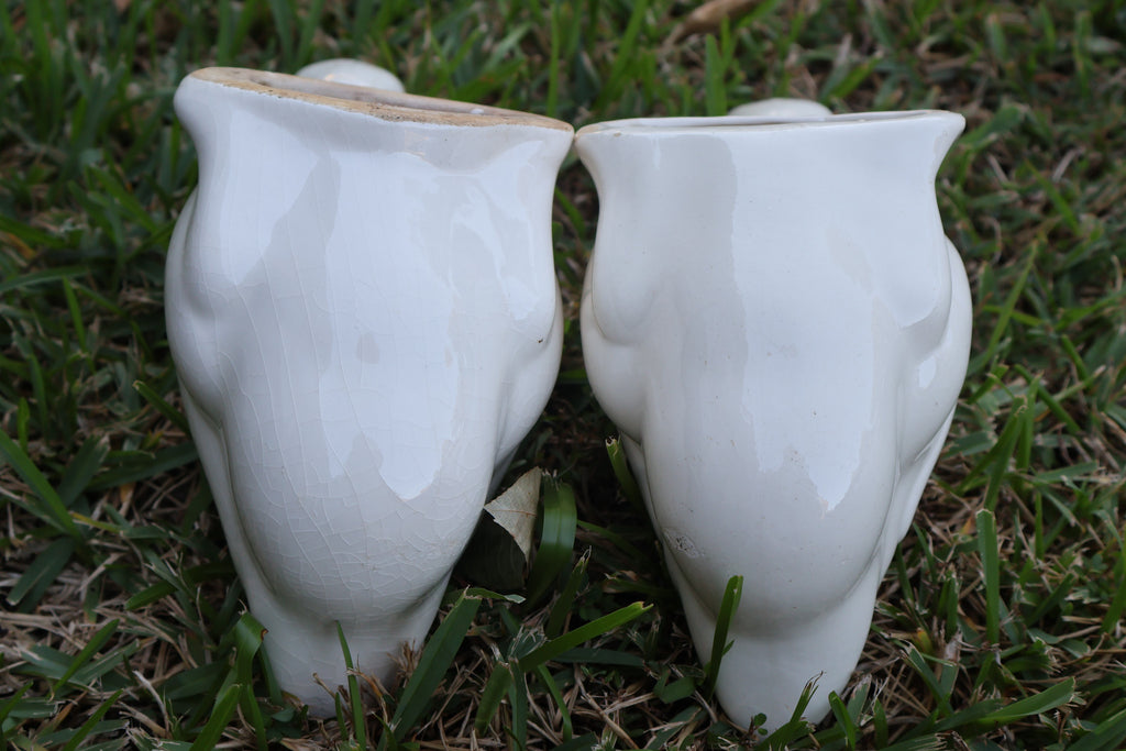 Vintage Ceramic Geese – Male & Female Pair