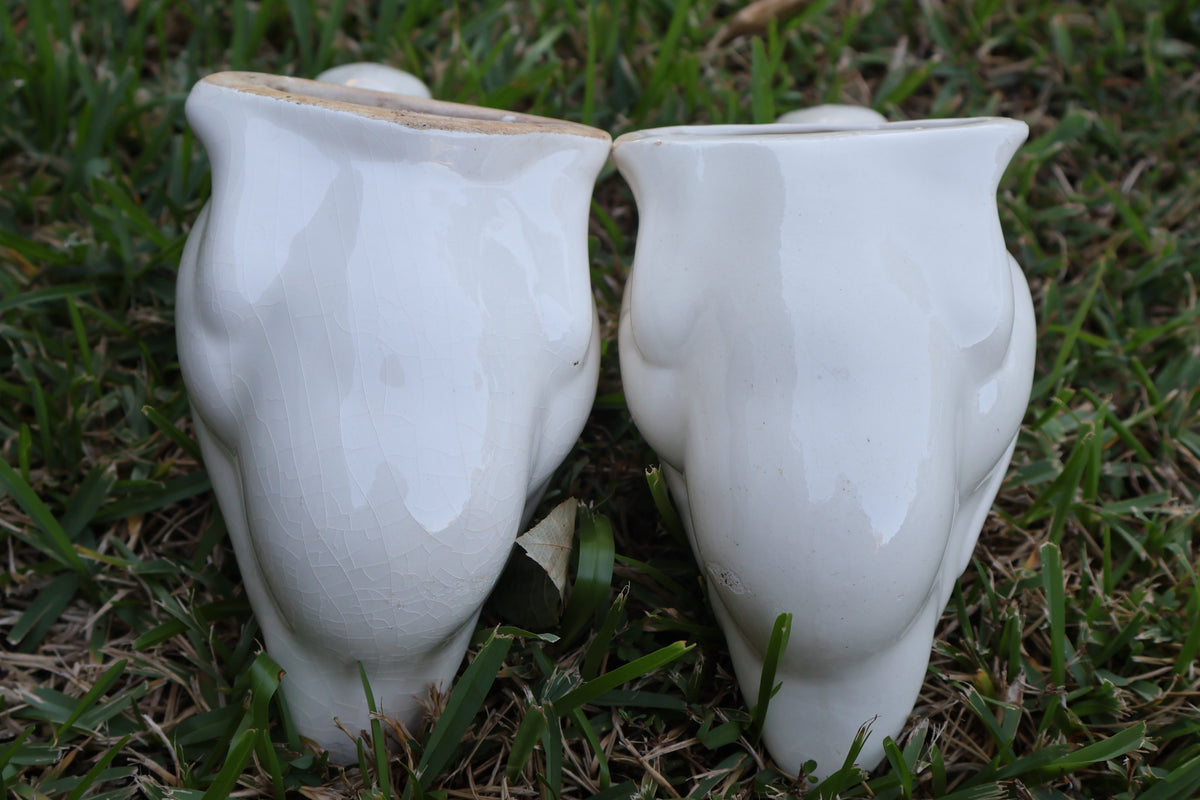 Vintage Ceramic Geese – Male & Female Pair