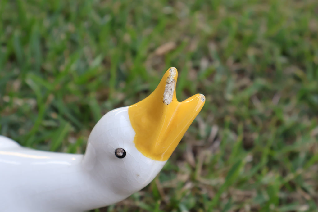 Vintage Ceramic Geese – Male & Female Pair